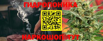 спайс Ачхой-Мартан