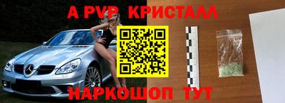 спайс Ачхой-Мартан